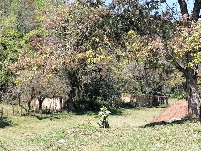 Terreno en fraccionamiento campestre