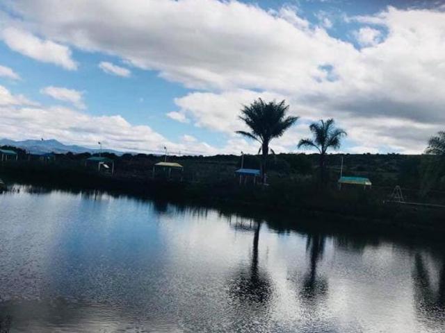 Terreno en Fraccionamiento Campestre LOMAS DEL SUR