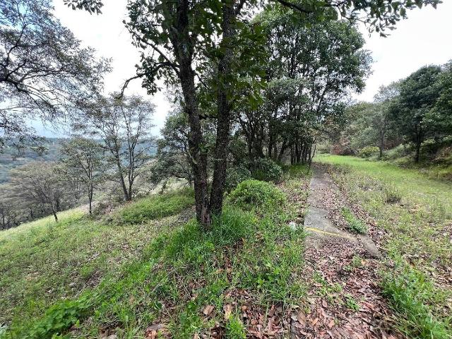 Terreno en Fraccionamiento Campestre, Villa del Carb?n