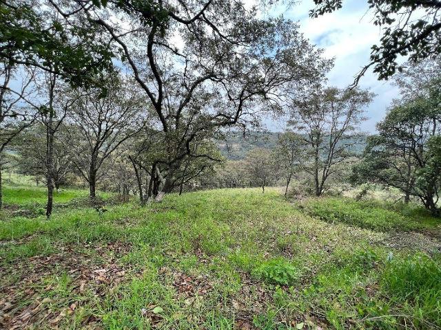 TERRENO EN FRACCIONAMIENTO CAMPESTRE, VILLA DEL CARB?N