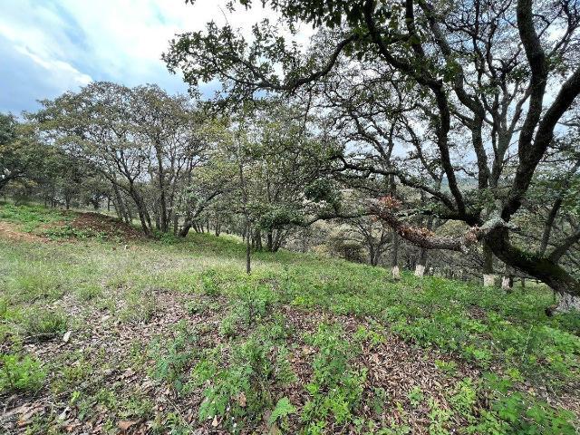 TERRENO EN FRACCIONAMIENTO CAMPESTRE, VILLA DEL CARB?N