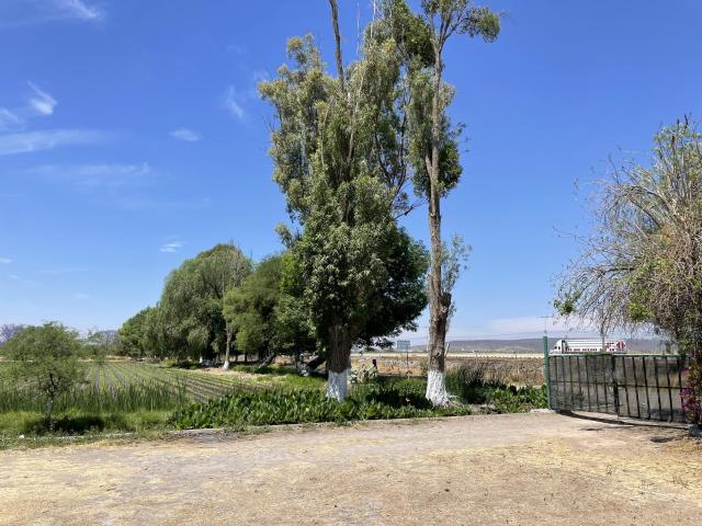 Terreno en Fraccionamiento La Estancia