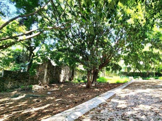 Terreno en Fraccionamiento Lomas de Cortes
