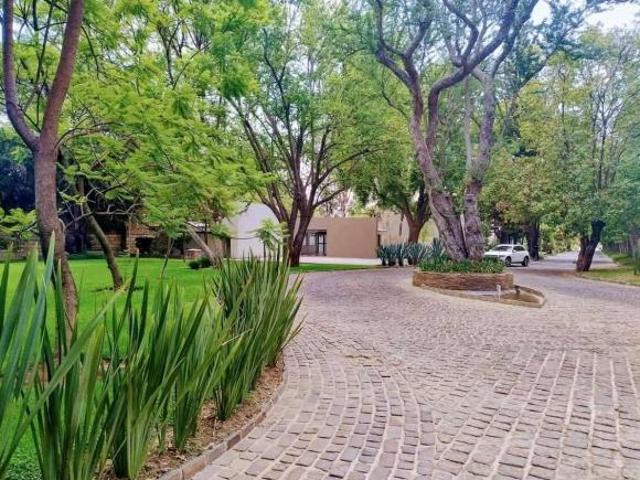 Terreno en Fraccionamiento Los Olivos