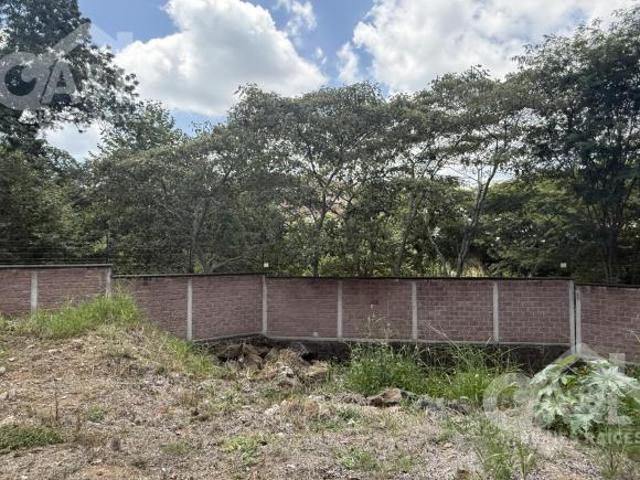 Terreno en Fraccionamiento Paseo de la Reina