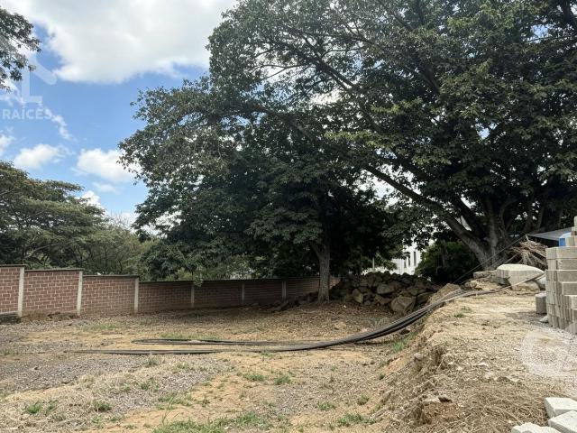 Terreno en Fraccionamiento Paseo de la Reina
