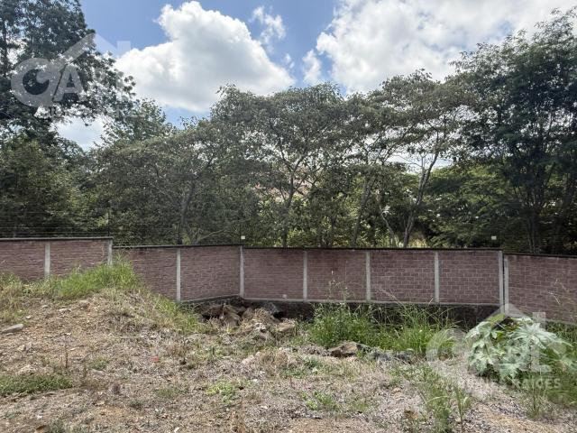 Terreno en Fraccionamiento Paseo de la Reina