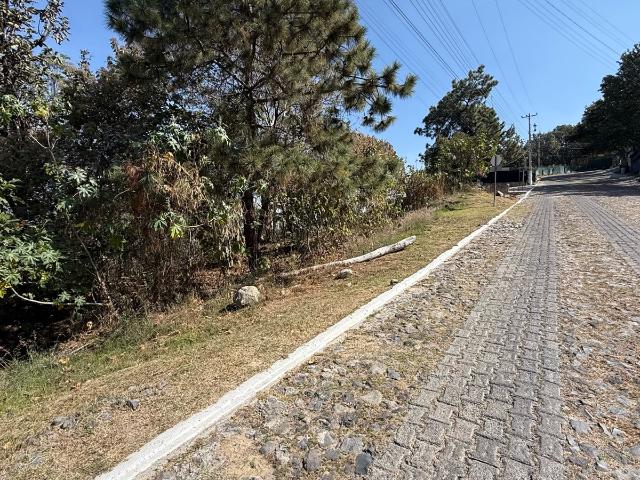Terreno en Fraccionamiento Pinar de La Venta