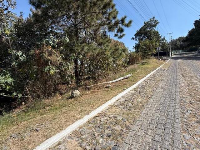 Terreno en Fraccionamiento Pinar de La Venta