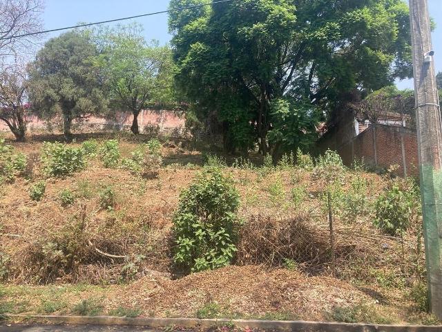 Terreno en Fraccionamiento Rancho Cortes