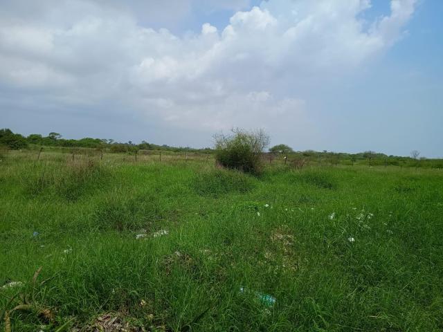 Terreno en Fraccionamiento Santa Elena