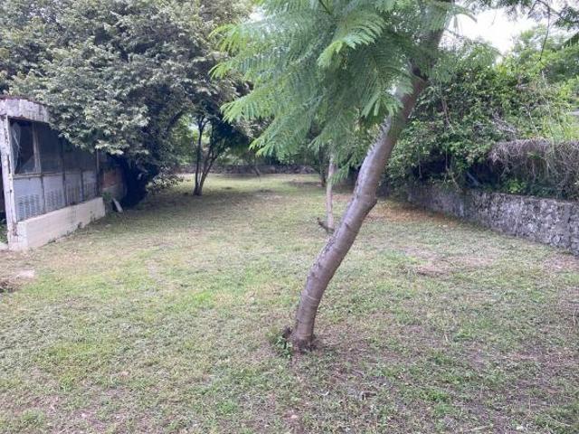Terreno en Fraccionamiento Suyalot