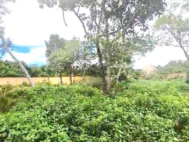 Terreno en Gran Santa Fe III cerca de Av Prolongacion la Luna