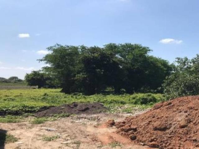 Terreno en Gral. Desiderio Pav?n, Panuco, Veracruz