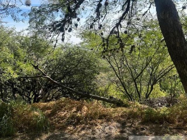 TERRENO HUERTAS LA JOYA VENTA QUERETARO AE/