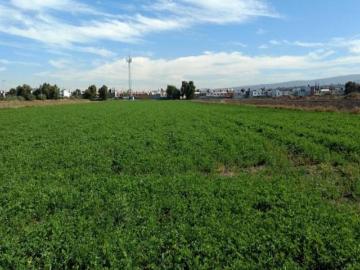 Terreno en hacienda el jacal