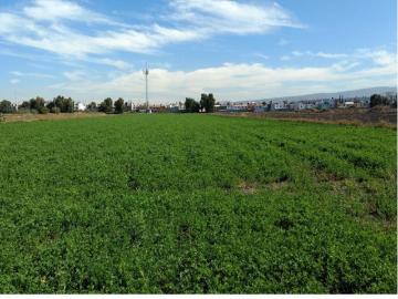 Terreno en hacienda el jacal