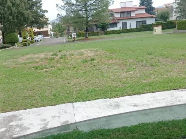 Terreno en hermoso residencial alta plusvalia
