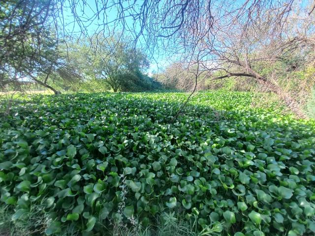 Terreno en Hermosillo