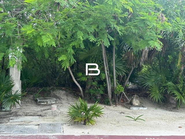 Terreno en Isla Blanca