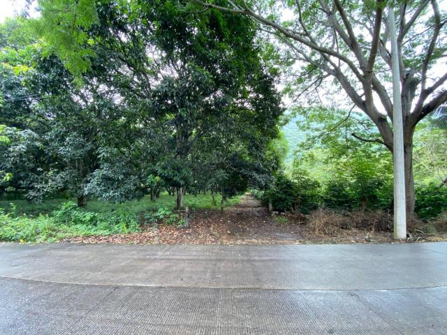 Terreno en Jalcomulco