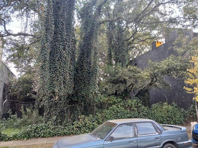 Terreno en Jardines en la Monta?a