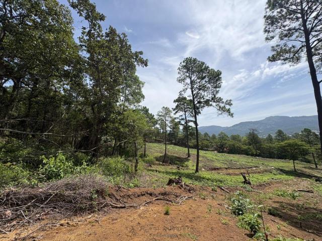 Terreno en Jitotol