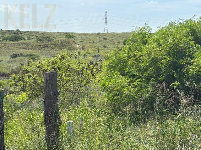 Terreno en Luis Donaldo Colosio