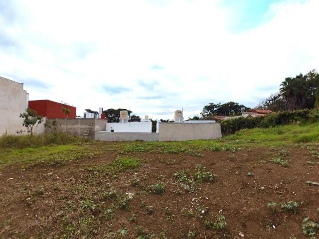 Terreno en La Mata