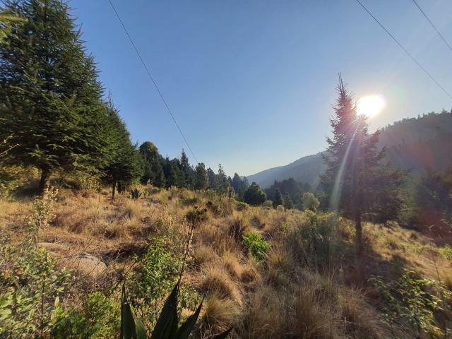 Terreno en La Ca?ada