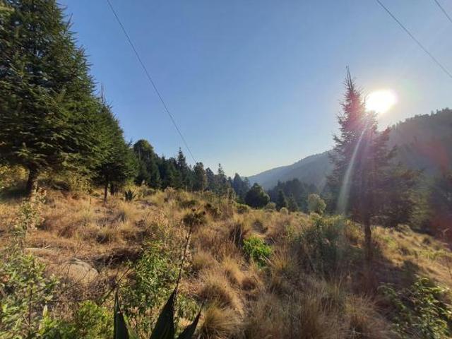 Terreno en La Cañada