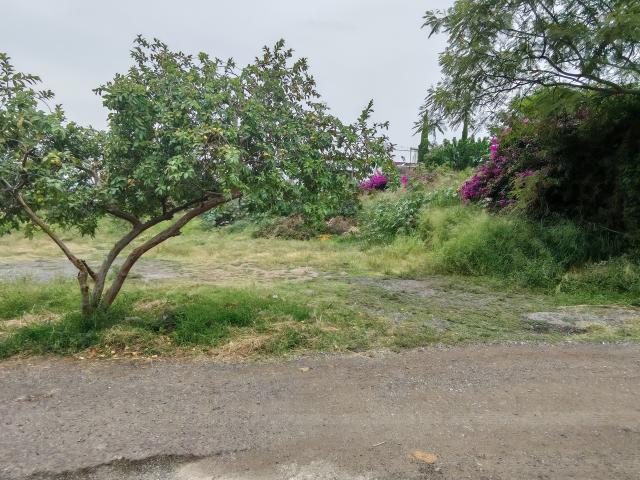 Terreno en la Col. Chipitlán, Cuernavaca, Morelos. Clave 6352.37