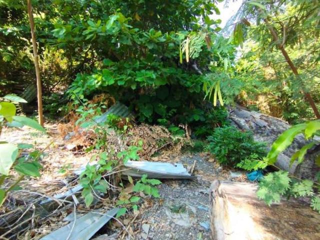 Terreno en la Colonia el Taller