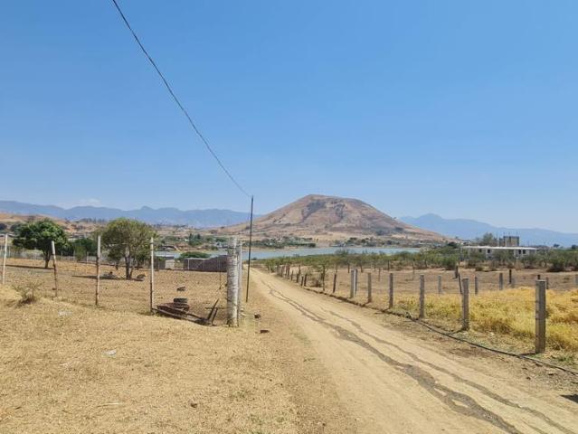 Terreno en La Labor de Zaragoza