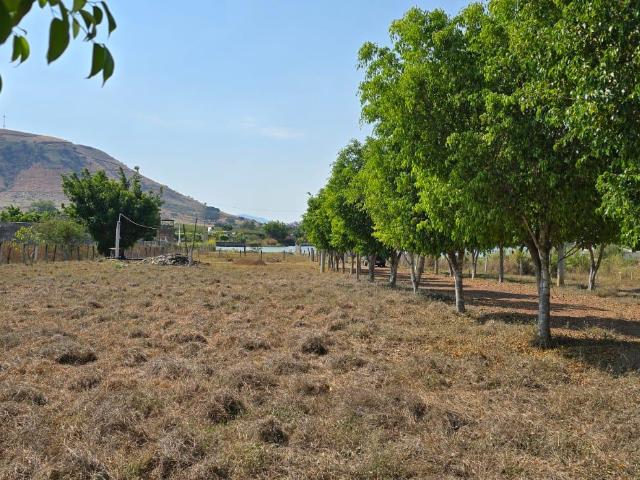 Terreno en LA PRESA