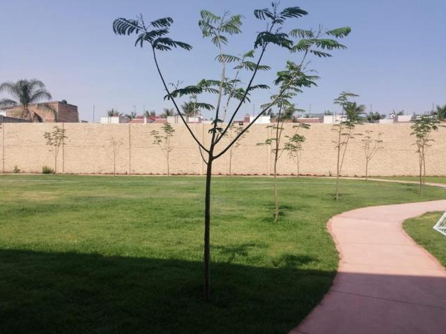 Terreno en LA TIJERA EN COTO