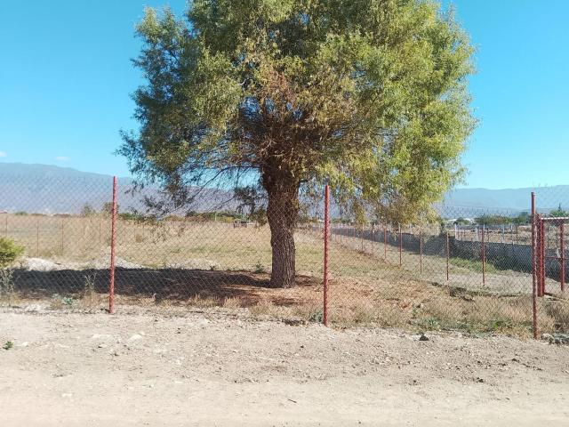 Terreno en la Y Carretera a Ocotl?n y Zimatlan