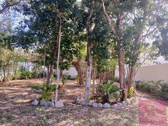 Terreno en la Zona de Colegios y Universidades