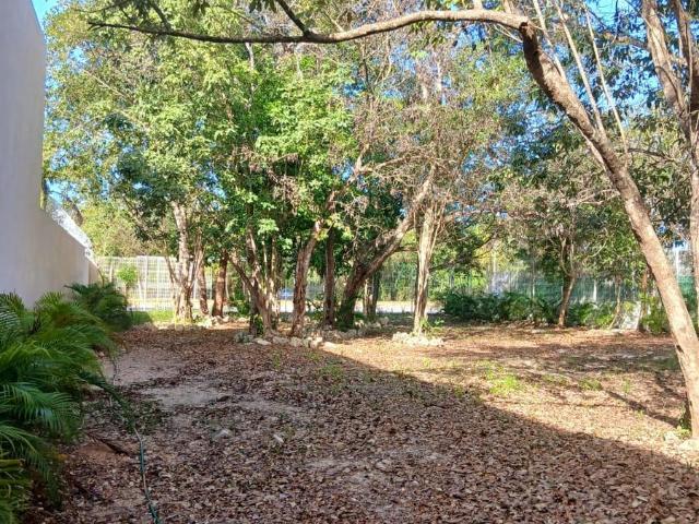 Terreno en la Zona de Colegios y Universidades