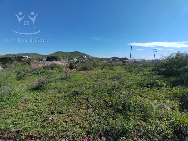 Terreno en Labor de Terrazas