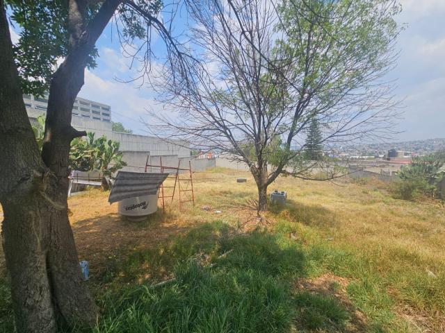 Terreno en Las Colonias
