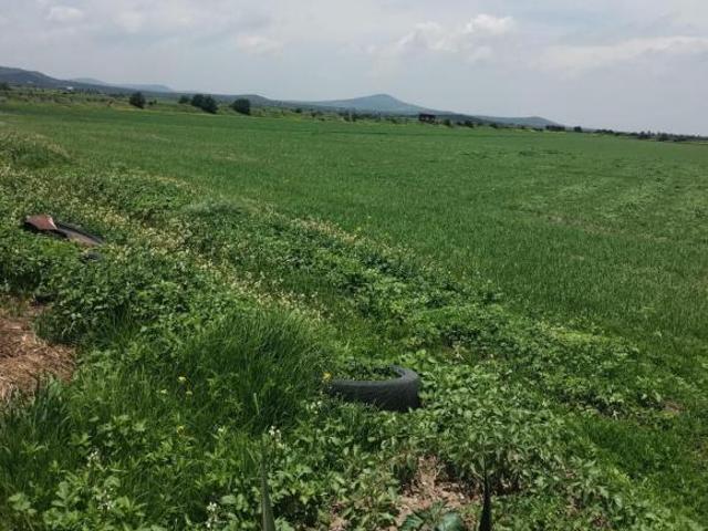 Terreno en Las Pintas, Temascalapa, Edo. Méx. Sup. 66,000 m2
