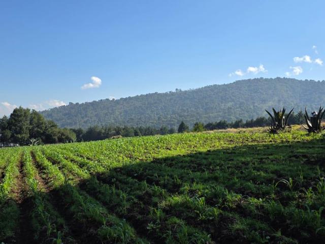 Terreno en Lerma de Villada Centro