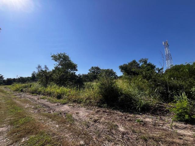 Terreno en Lindavista, Pueblo Viejo, Veracruz
