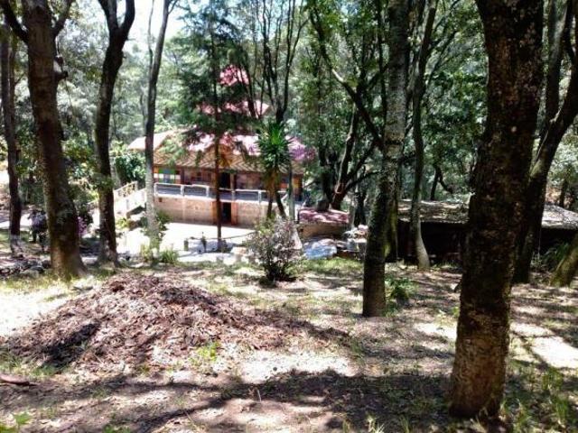 TERRENO EN LLANO DE ZACAPEXCO, VILLA DEL CARBÓN
