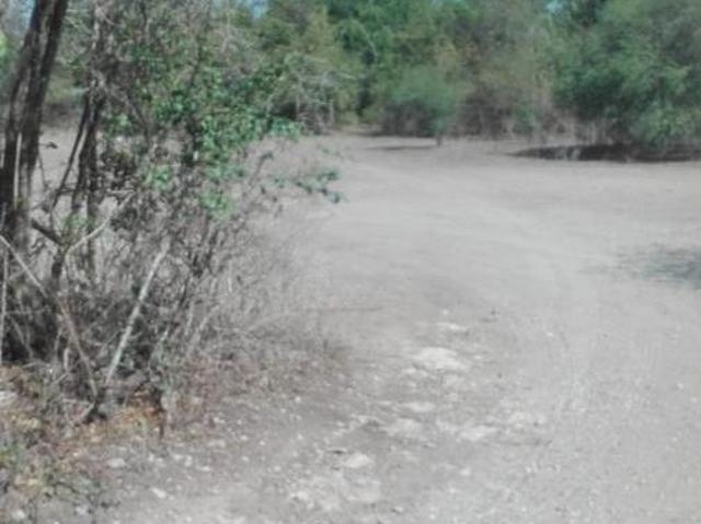 Terreno en Llera Tamaulipas