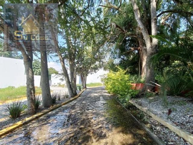 TERRENO EN LOMAS DE CUERNAVACA