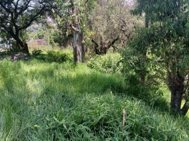 TERRENO EN LOMAS DE TARANGO.