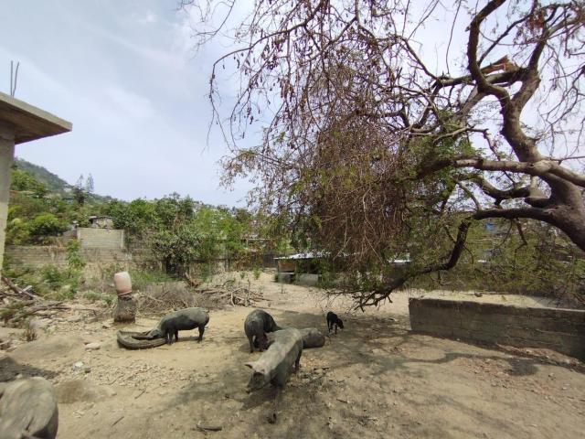 Terreno en los Lirios