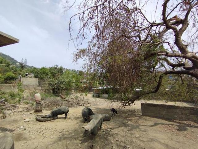 Terreno en los Lirios